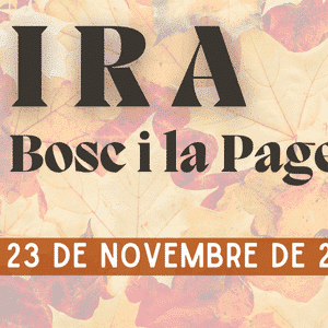 Cartell_FIRA_BOSC_banner_vallgorguina_500_x_300_px_