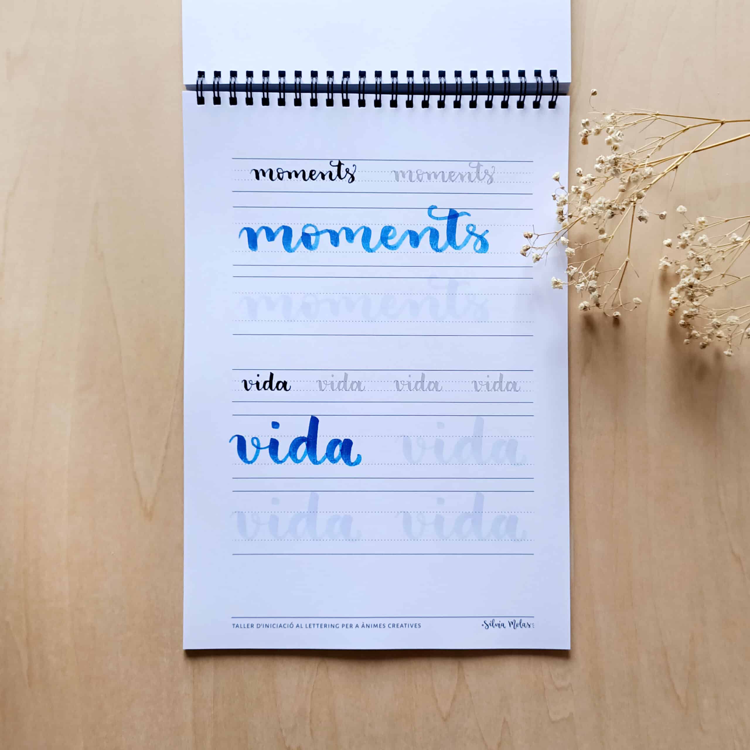 Kit_DossierInicLett_CAT_Foto7 Kit_DossierInicLett_CAT_Foto7