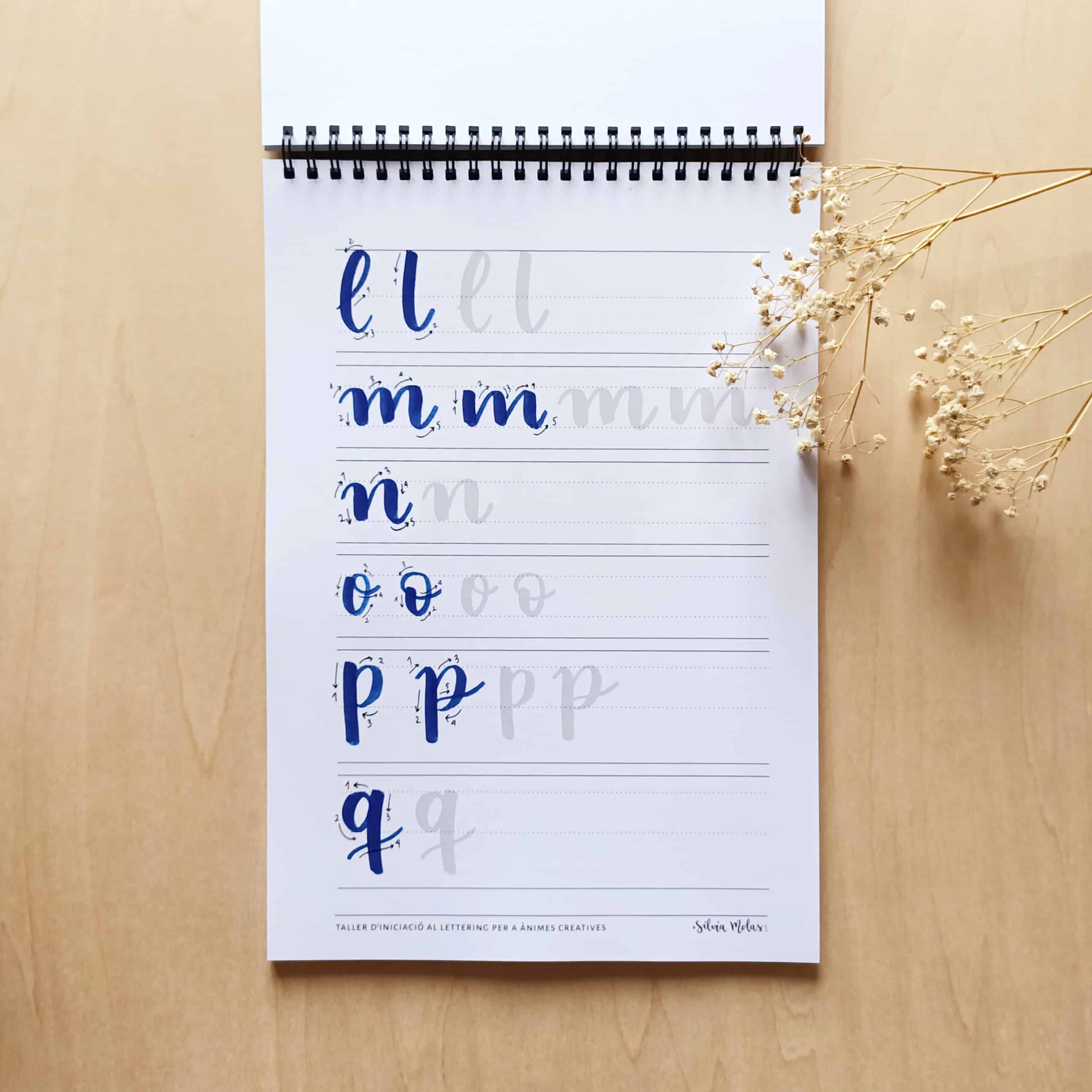 Kit_DossierInicLett_CAT_Foto8 Kit_DossierInicLett_CAT_Foto8