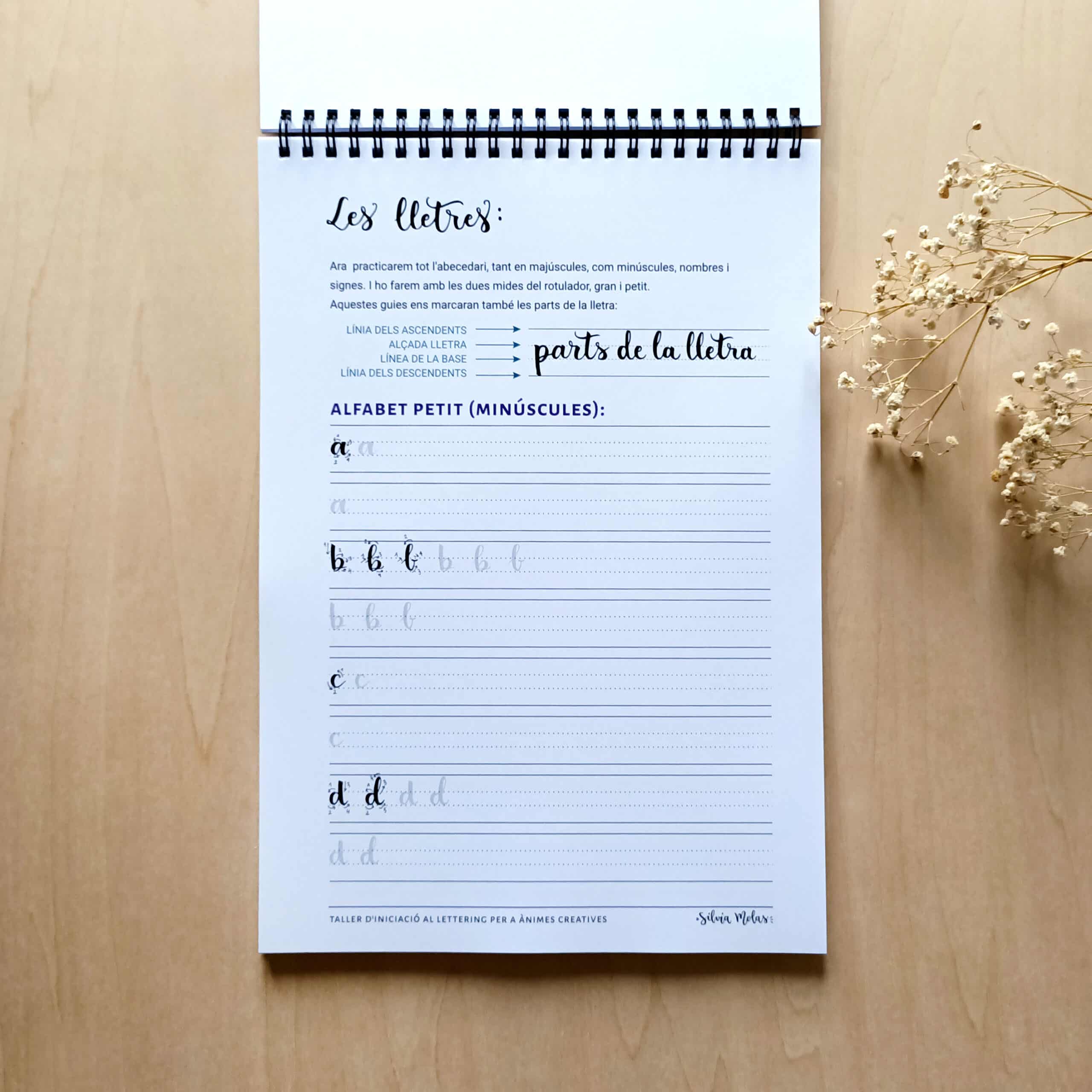 Kit_DossierInicLett_CAT_Foto9 Kit_DossierInicLett_CAT_Foto9