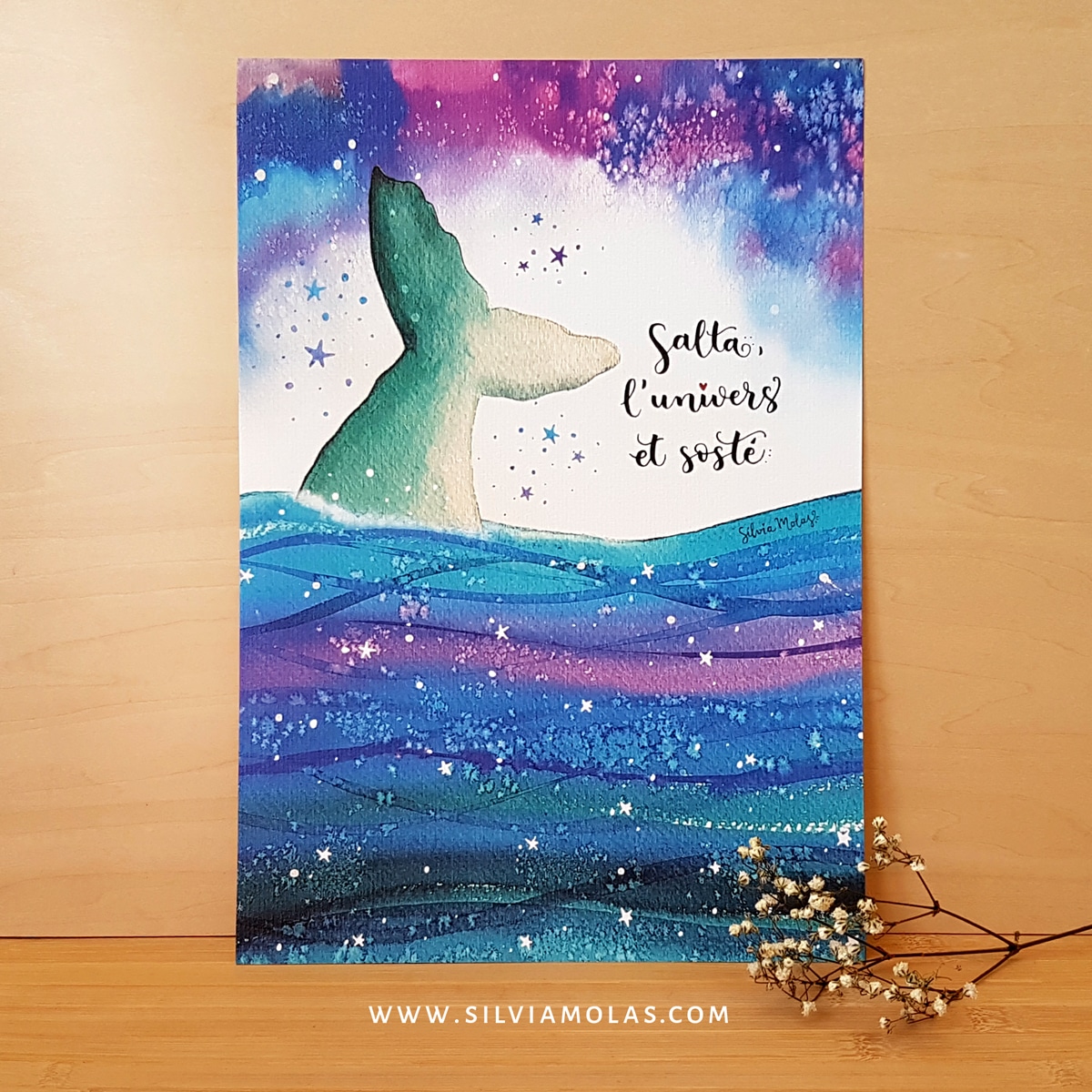 Làmina A4 “Salta, l’univers et sosté!”