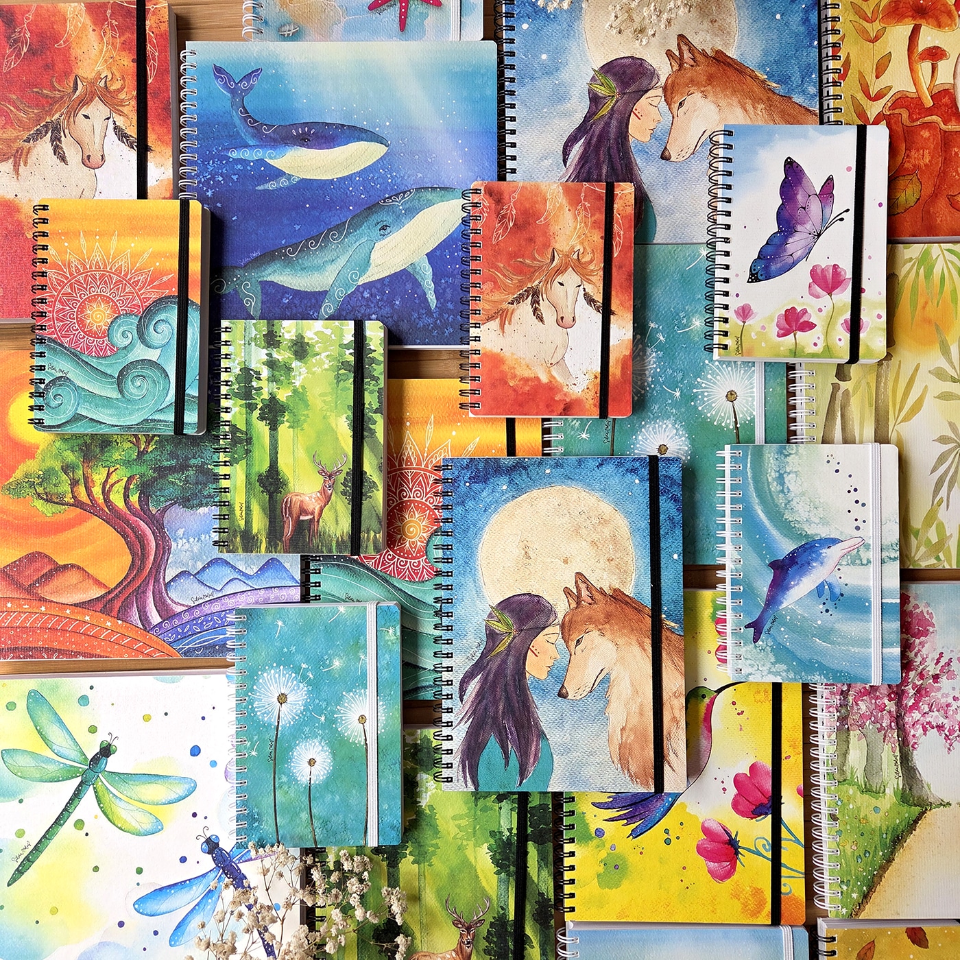 Llibretes Genèrica Categoria