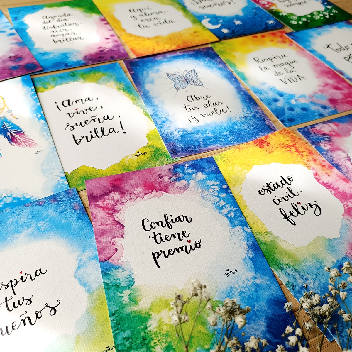 Pack_OUTLET_10x15_CAT_Foto2 Pack_OUTLET_10x15_CAT_Foto2