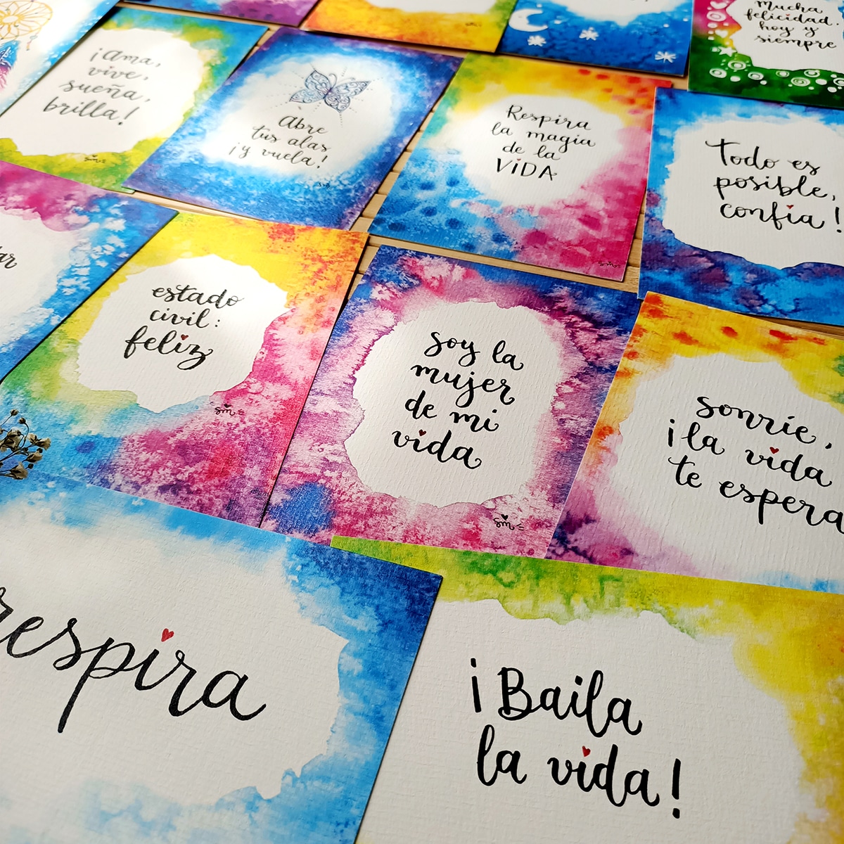 Pack_OUTLET_10x15_CAT_Foto3 Pack_OUTLET_10x15_CAT_Foto3