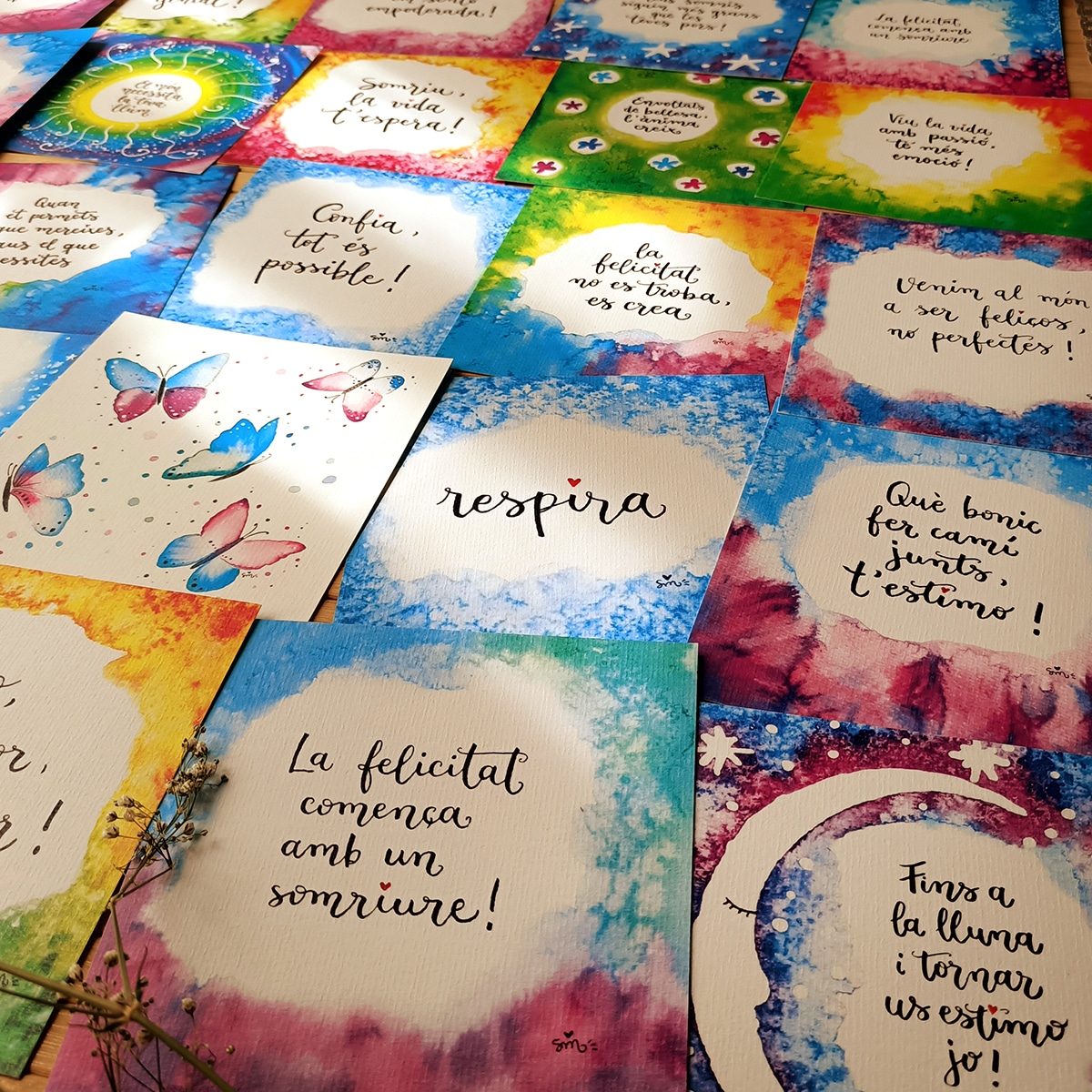 Pack_OUTLET_14x14_CAT_Foto2 Pack_OUTLET_14x14_CAT_Foto2