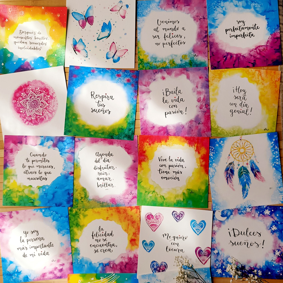 Pack_OUTLET_14x14_CAT_Foto1-DESTACADA