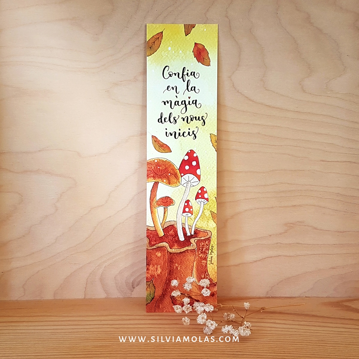 Punt de llibre “Confia en la màgia dels nous inicis”