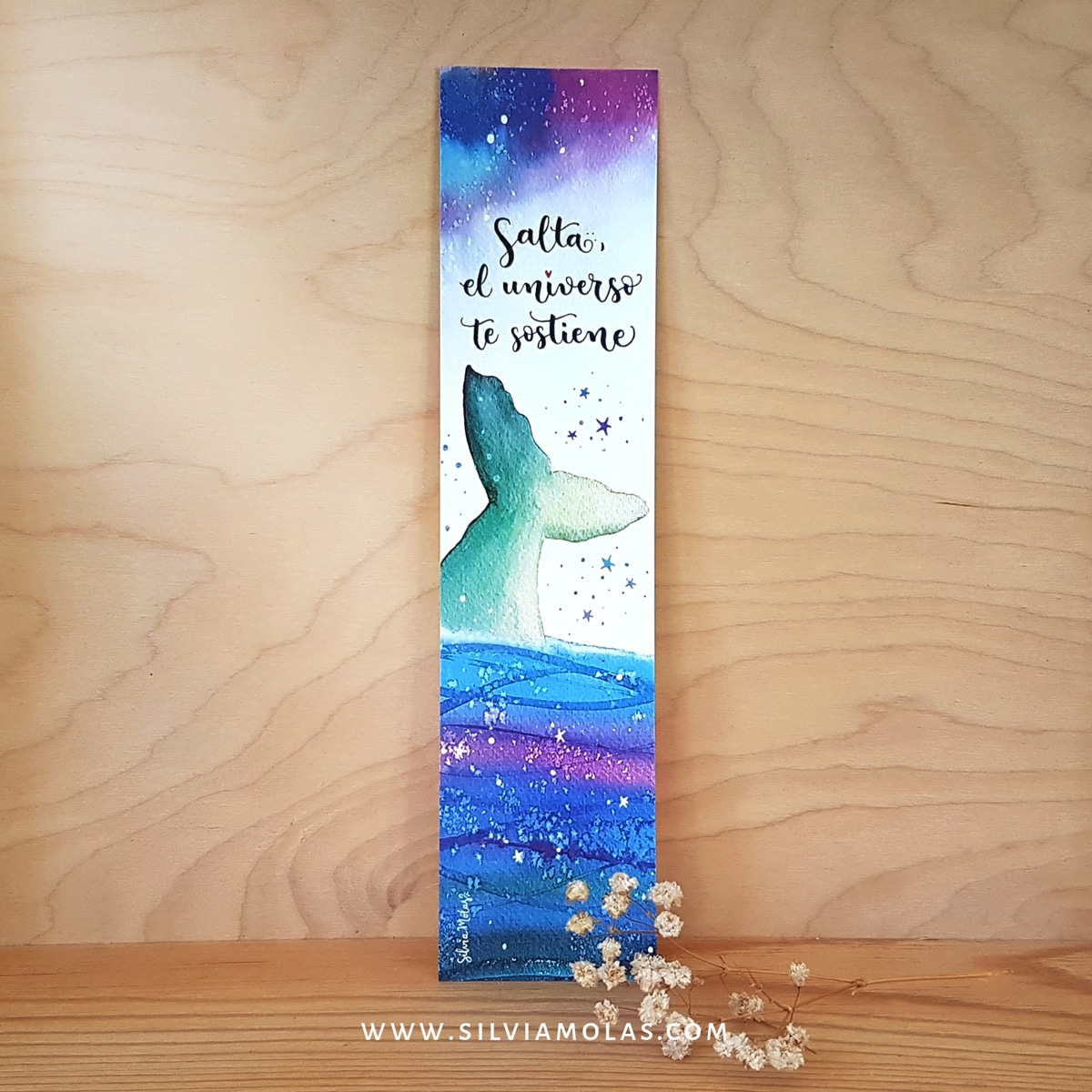 Punto de libro “Salta, el universo te sostiene”