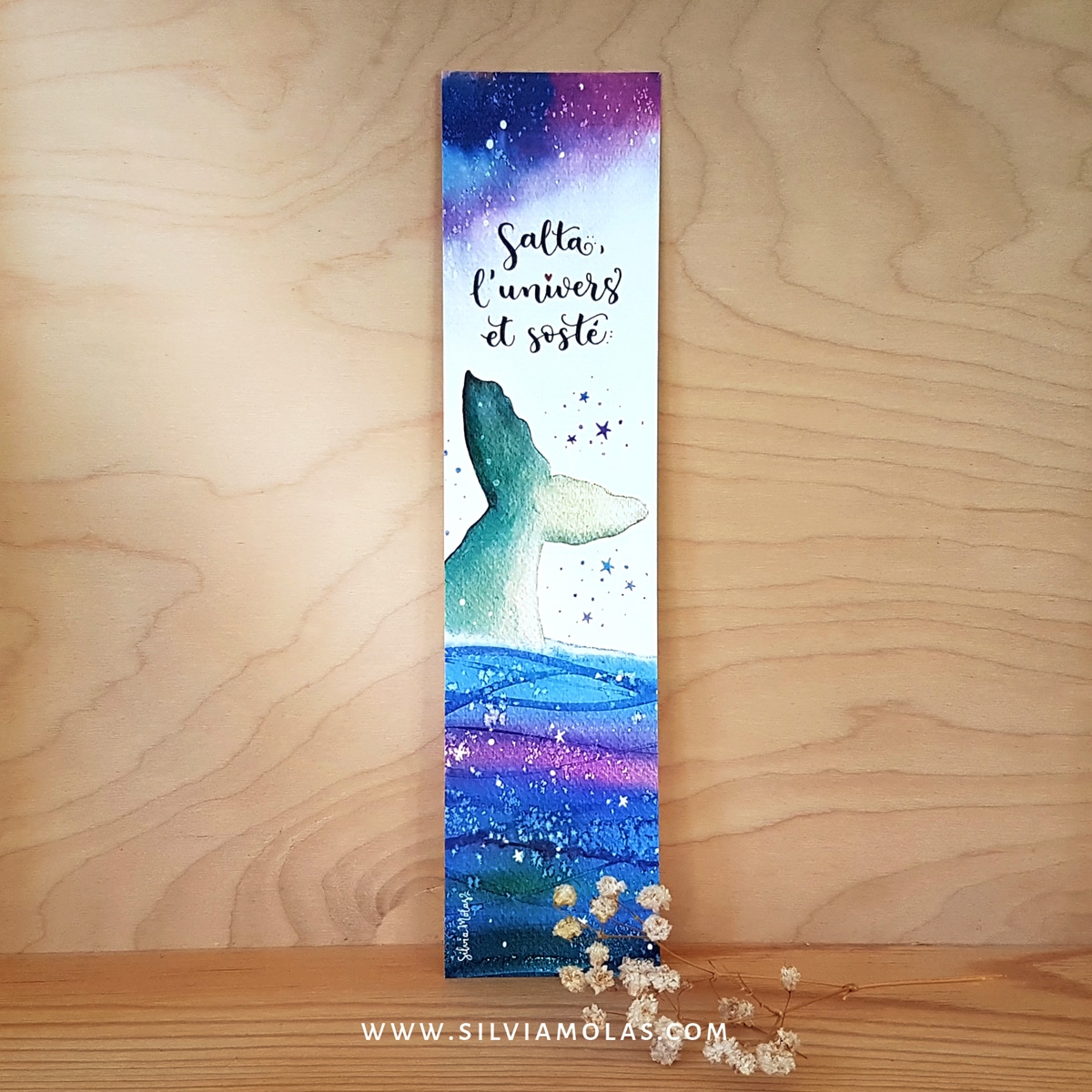 Punt de llibre “Salta, l’univers et sosté”