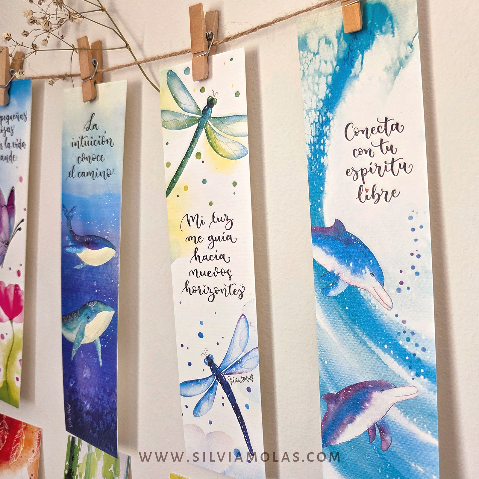 PackPunts26_Animals_CAT_03