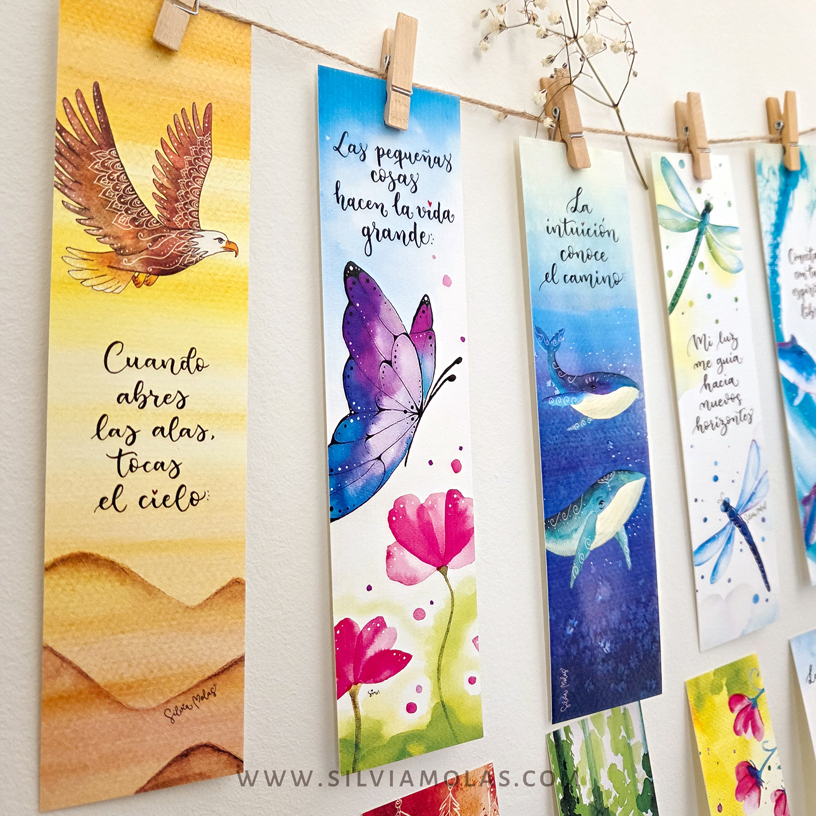 PackPunts26_Animals_CAT_04