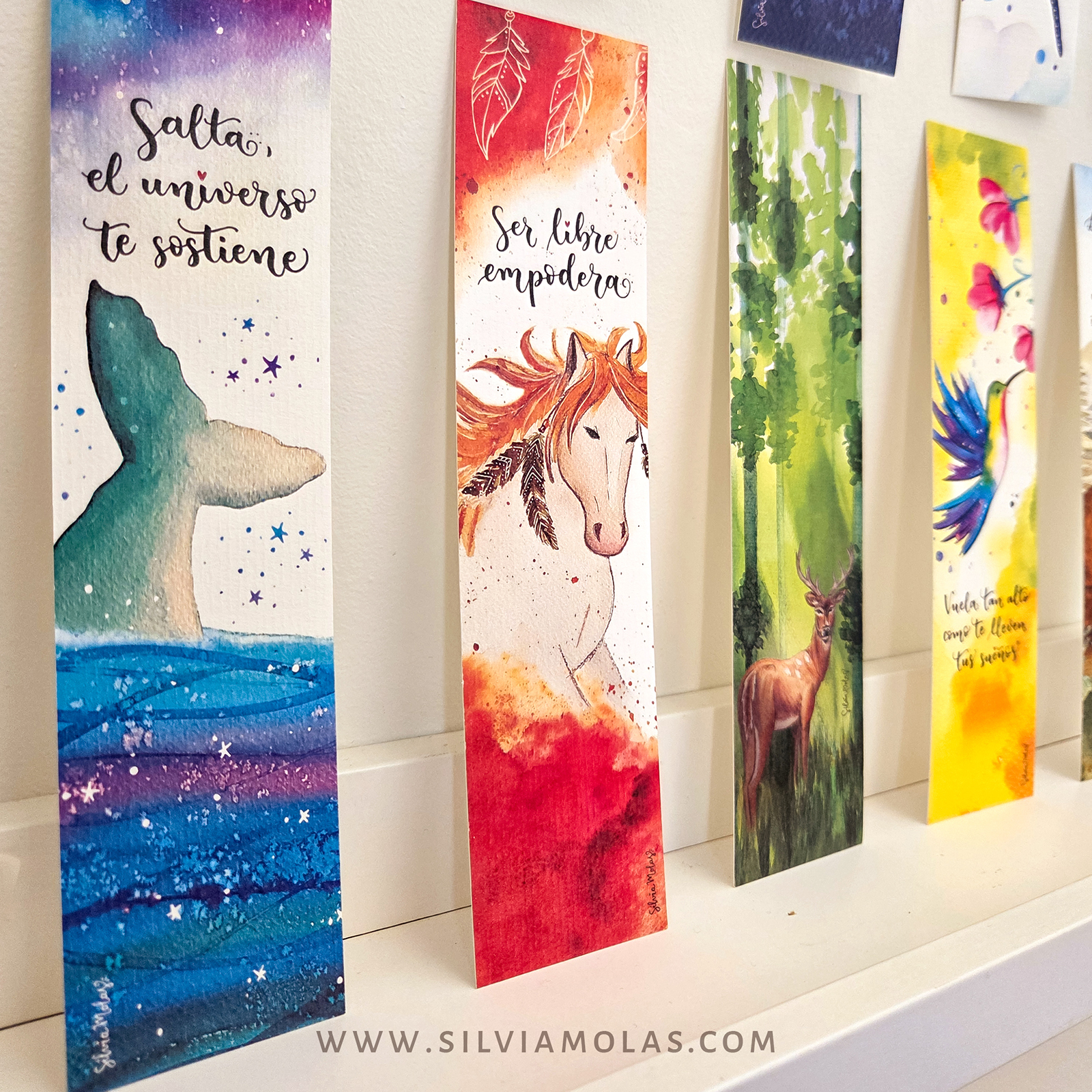 PackPunts26_Animals_CAT_05