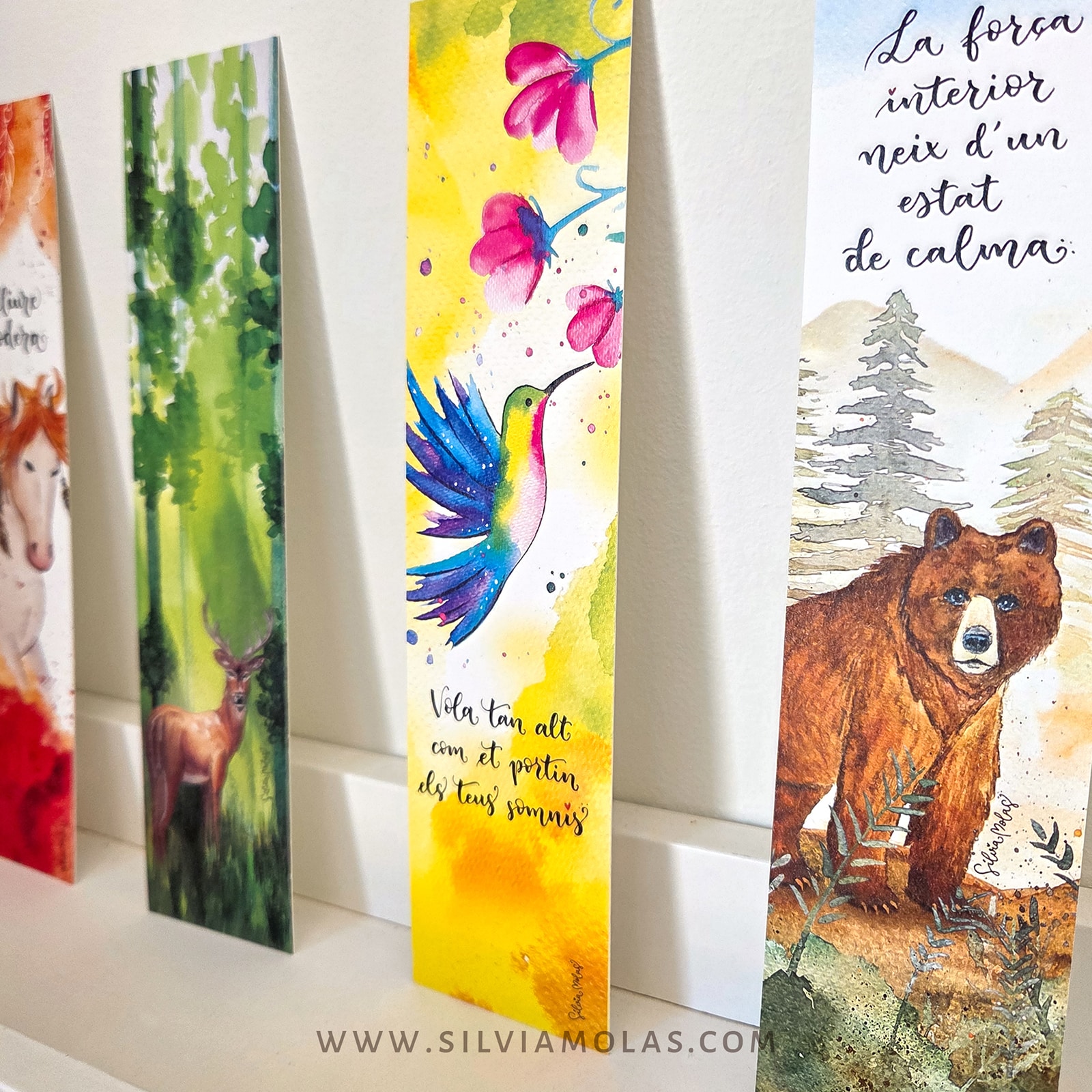 PackPunts26_Animals_CAT_02