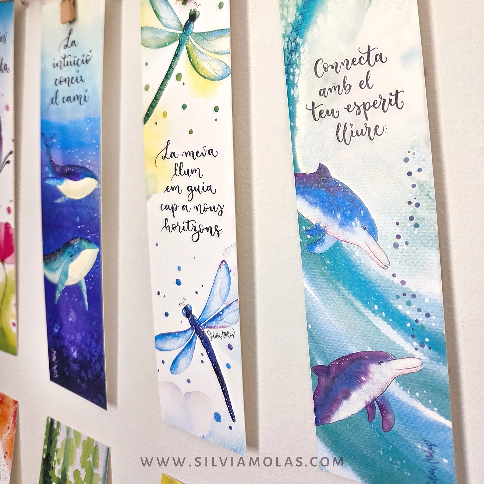 PackPunts26_Animals_CAT_03