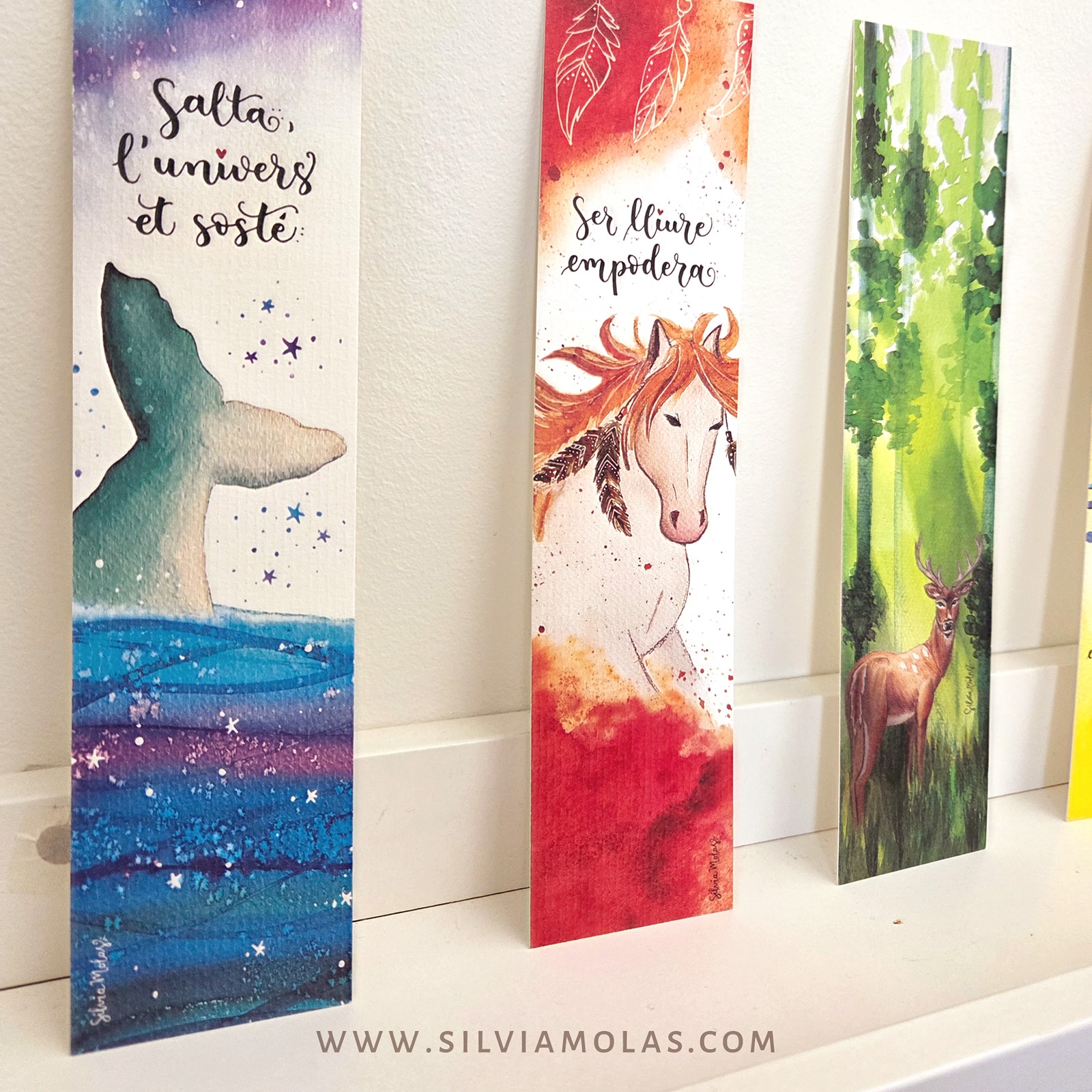 PackPunts26_Animals_CAT_05