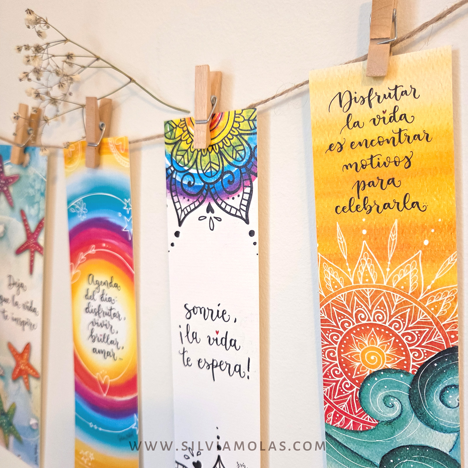 PackPunts26_Vida_CAT_02