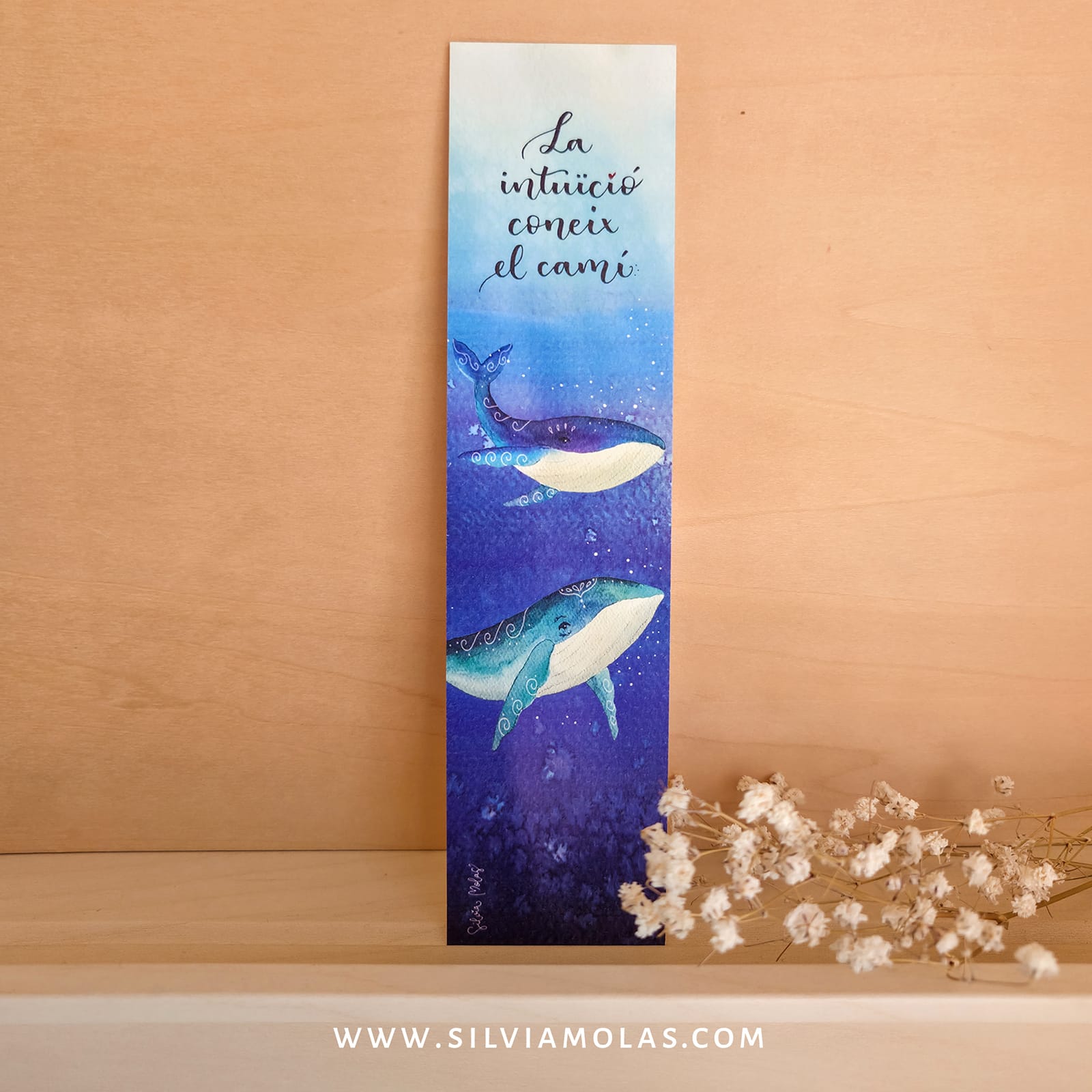 Punt de llibre Balenes. “La intuïció coneix el camí”